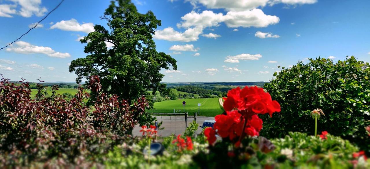 Hotel Neue Hoehe Klingenberg Eksteriør bilde