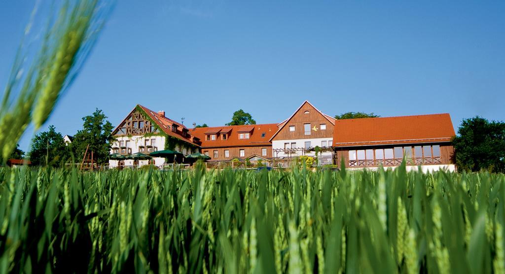 Hotel Neue Hoehe Klingenberg Eksteriør bilde